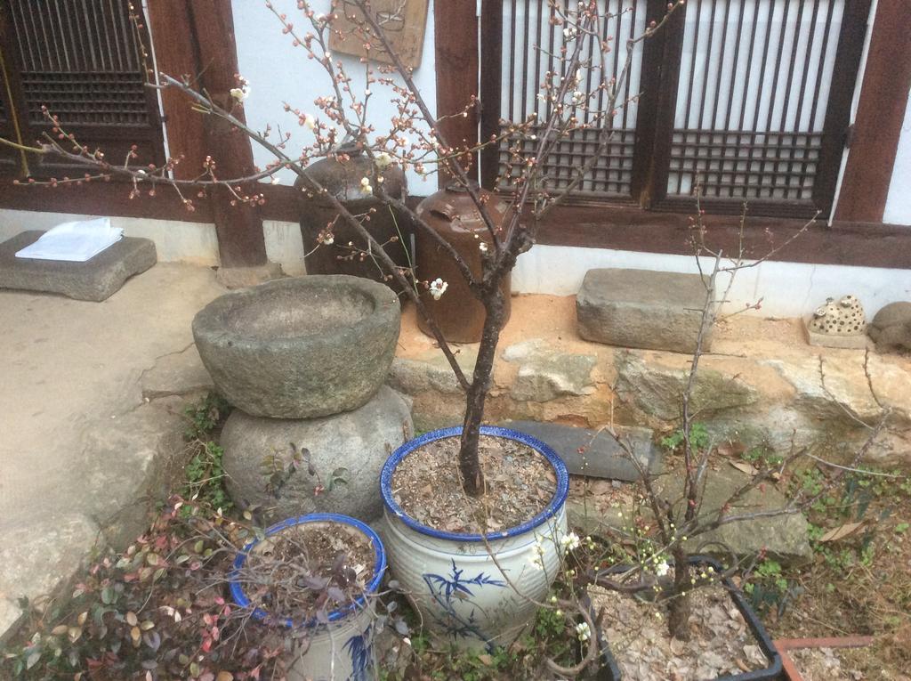 מלון ג'אונג'ו Yangsajae מראה חיצוני תמונה
